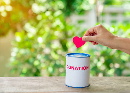 Hand putting a heart in a piggy bank donation on out of focus tree background.. Concept of charity donation.の写真素材