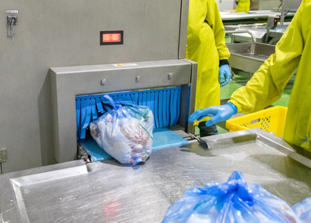 Chicken meat pass though x-ray inspector machin before delivery to customer.