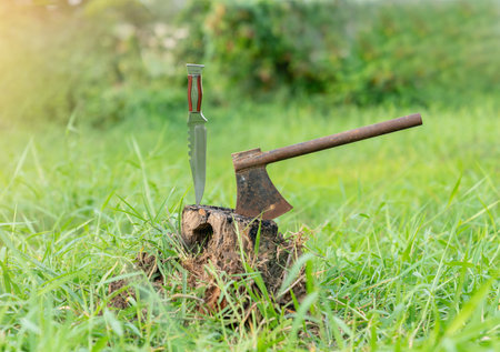 Knives and axes are planted on the stumps of the campsite in the forest.の写真素材