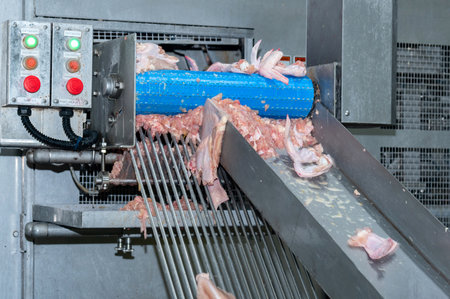 Chicken parts load out from automate cuttting machine in meat process line.の写真素材