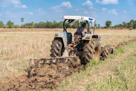 A farmer drives tractor a plow to till the rice field to prepare for next season's rice planting.の写真素材