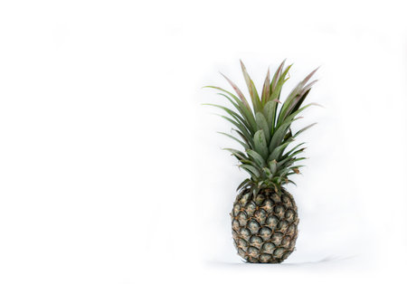 Raw pine apple with shadow isolated on white background.の写真素材