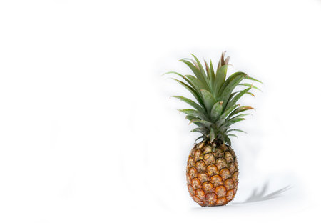 Pine apple withe shadow isolated on white background.の写真素材
