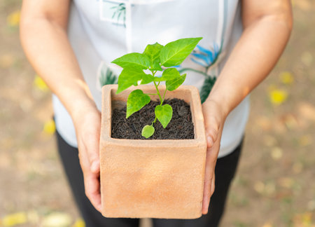 Close up woman on holding a potted plant on blur background.の写真素材