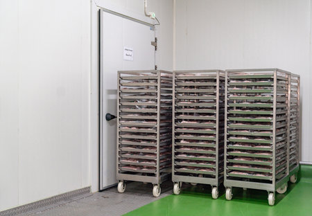 Chicken meat parts on stainless steel shelves and Racks prepare freezing in air blas freezer room.の写真素材