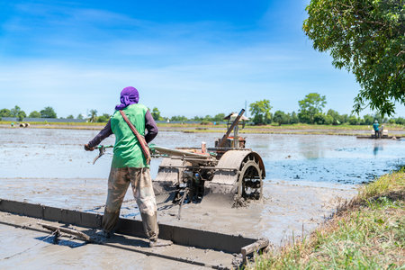 Farmers plow rice fields in preparation for planting in the coming season.