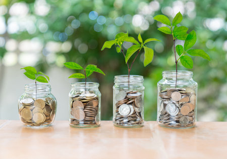 the concept of financial growth, investment, and savings. The increasing volume of coins in the jars, coupled with the progressive height of the growing plants.の写真素材