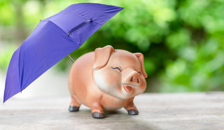 Concept powerfully symbolizes financial security, protection, and insurance. The piggy bank represents savings or capital.の写真素材