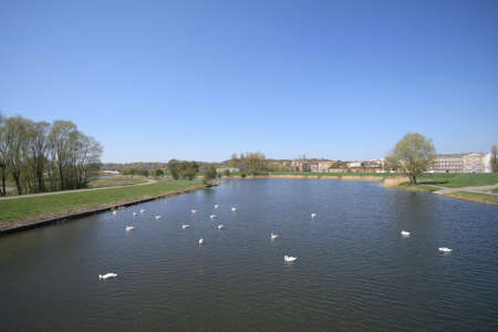 Suburban landscape with river.の写真素材