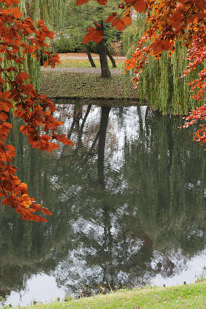 Trees reflects on water in autumn.の写真素材