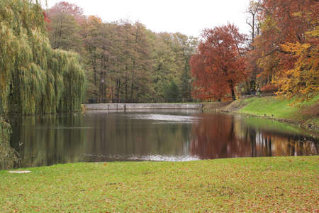 Trees reflects on water in autumn.の写真素材