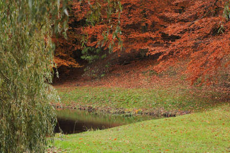 Colors of autumn by the lakeside.の写真素材