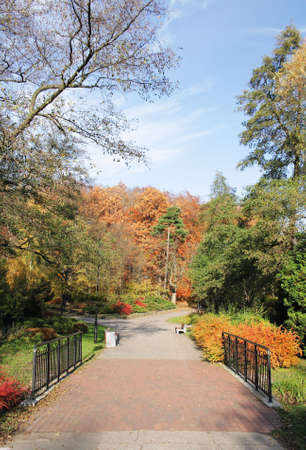 Small bridge in park in autumn.の写真素材