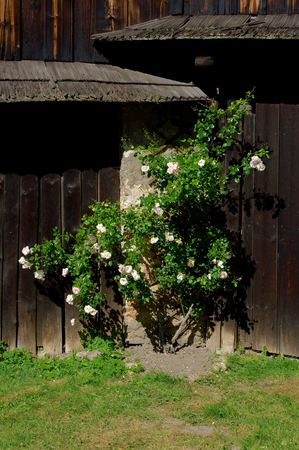 The ancient castle, its name is Pernsteinのeditorial素材