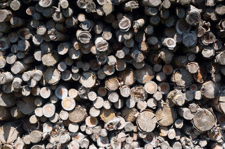 Chopped wood ready for heating, detailed view.