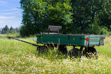 Old green wagon on the meadow with daisies in summer