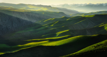 Nature landscape view of a grasslandの写真素材