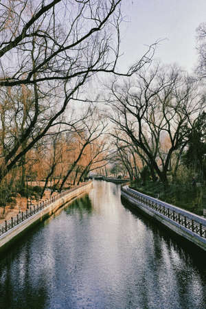 spring and lightの写真素材