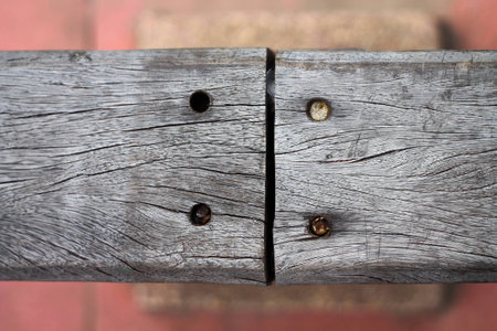 Three nail on the floorwood near the river on top birdの写真素材