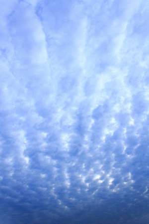 Cirrocumulus in blue sky  の写真素材