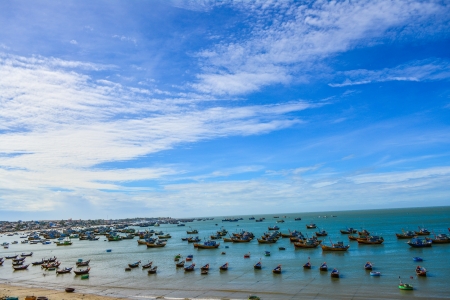 many boatの写真素材