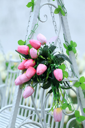 Tulipの写真素材