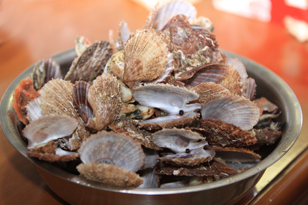 clams