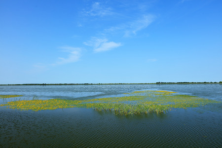 beautiful wetlands scenery