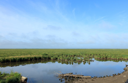 bei  da  huang farm Swan Island - wetlandsのeditorial素材