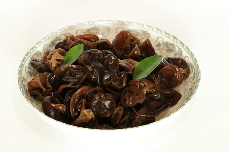 Northeast wild black fungus
