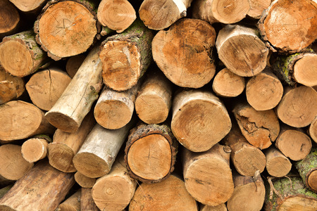 Woodの写真素材