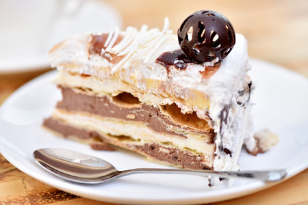 Cake on a plate. Sweet dish. A piece of baking.