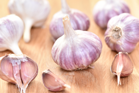 Garlic on the table. Spice for meat.の写真素材