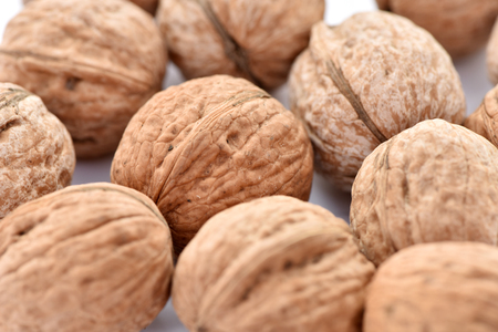 Walnuts on a white background.の写真素材