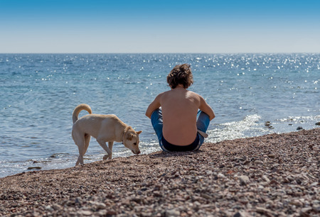A young man sitting, meditating and looking for a life inspiration on the sand seaside beach with dog.の写真素材