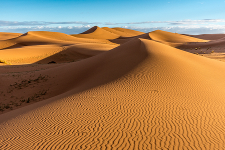Sand dunes in Erg Chigaga with blue sky, Moroccoの写真素材