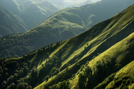 Green mountain hillsides with trees, pastures, meadows and deep valleys in region Tusheti. Georgiaの写真素材