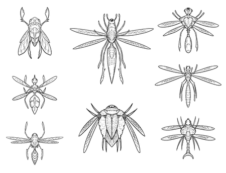 Set of eight cartoon vector hand drawn alien sci-fi insect designs in top down viewのイラスト素材