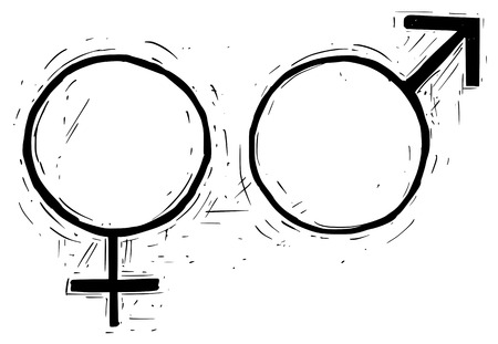 Hand drawing male and female symbols vector illustration.のイラスト素材