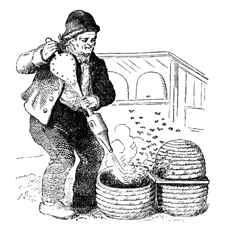 Antique vector drawing or engraving of grunge vintage illustration of beekeeper working with old style hive and smoker.From book Illustrierter Neuester Bienenfreund, printed in Leipzig, Germany 1852.のイラスト素材