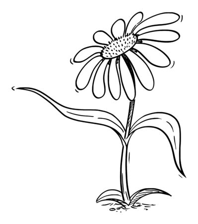 Vector illustration of cartoon flowering daisy plant character showing or pointing at something by leaf. Ecology or nature advertisement or marketing design.のイラスト素材