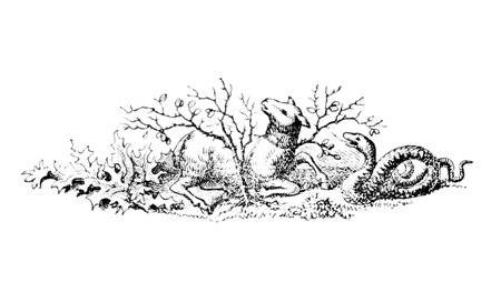 Text Divider With with Lamb and Serpent, Jesus Christ and Satan.Bible, New testament. Vintage Antique Drawingの写真素材