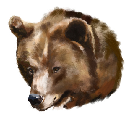 Painting Brown Bear on a rock