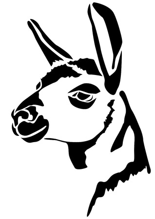 Head llamas - Mammaliaのイラスト素材