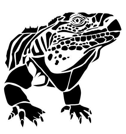 Head of iguana - lizard Sauriaのイラスト素材