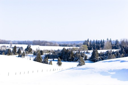 frozen field covered with snow tree and sun