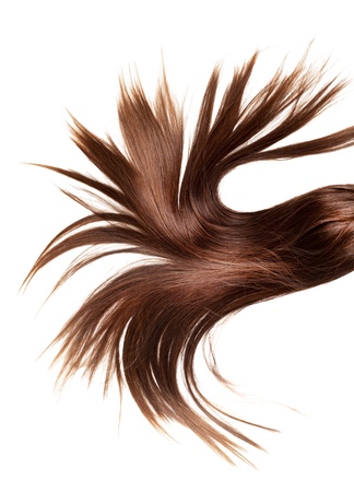 human brown hair on white isolated backgroundの写真素材