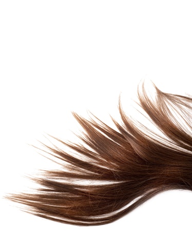 human brown hair on white isolated backgroundの写真素材