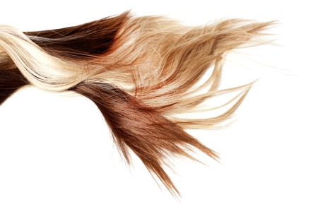 human brown and blonde hair on white isolated backgroundの写真素材