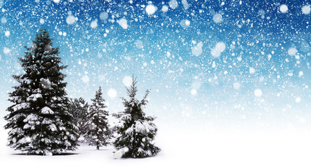 Winter snow background with trees. Beautiful Christmas and New Year abstract.の写真素材